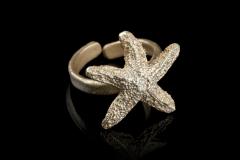 Ring Starfish