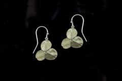 Clover Wire Earrings - Klee Ohrhänger