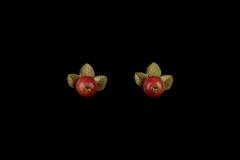 Crab Apple Post Earrings - Holzapfel Ohrstecker
