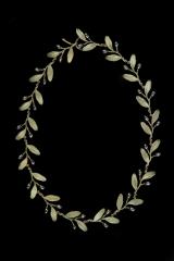 Olive Necklace - Oliven Collier