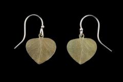 Eucalyptus Leaf Wire Earrings - Eukalyptusblatt Ohrhänger