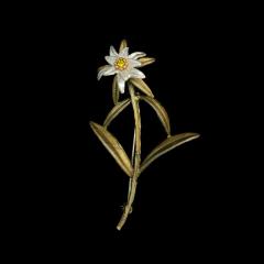 Edelweiss Single Flower Brooch - Edelweiss Brosche "Einzelblüte"