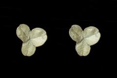 Clover Post Earrings - Klee Ohrstecker