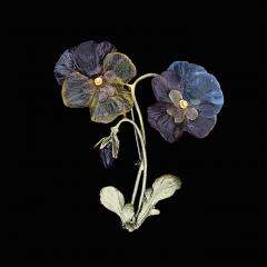 Pansies Two Flower Brooch - Stiefmütterchen