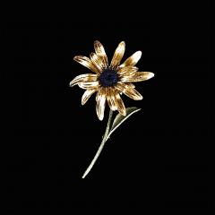 Black-Eyed Susan Brooch - Rauer Sonnenhut